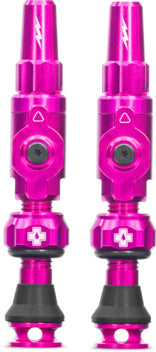 Tubeless Valves Big Bore Lite