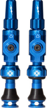 Tubeless Valves Big Bore Lite