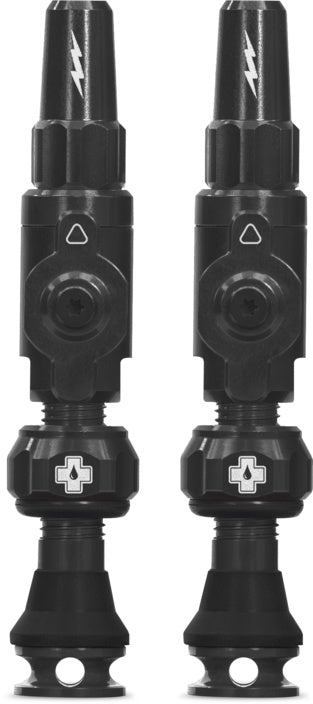 Tubeless Valves Big Bore Lite
