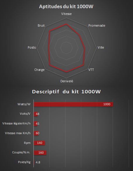 1000w - Complete electrical kit