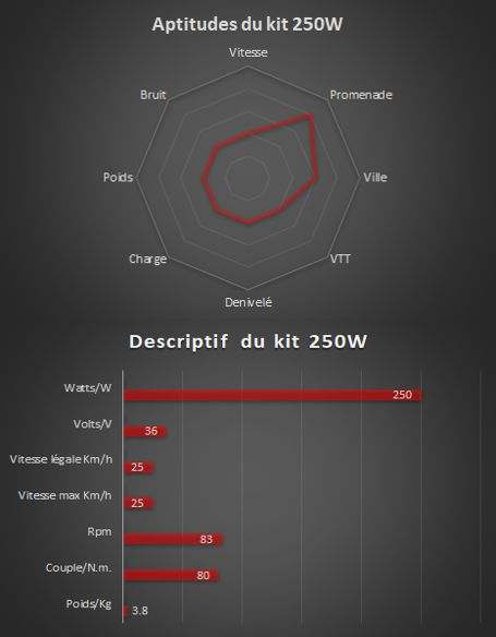 250w - Complete electrical kit Bafang